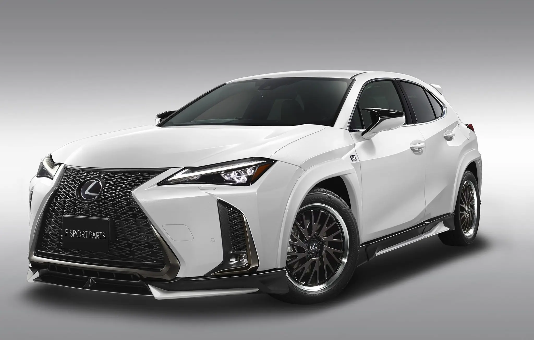 TRD Body kit for Lexus UX200 F Sport