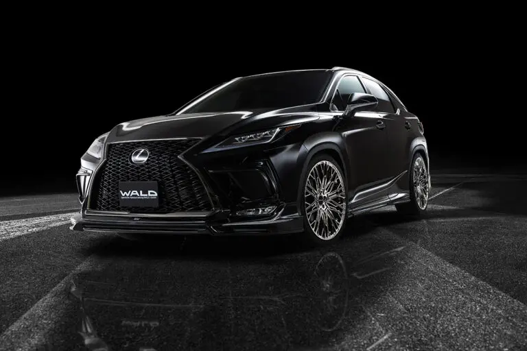 WALD SPORTS LINE F-SPORT for Lexus RX300 2019 ~ 2022