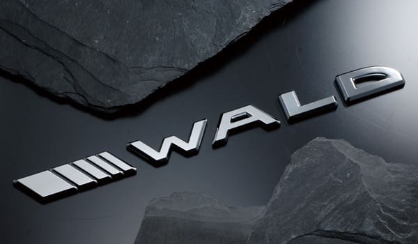 WALD CHROME SEPERATE SLASH EMBLEM