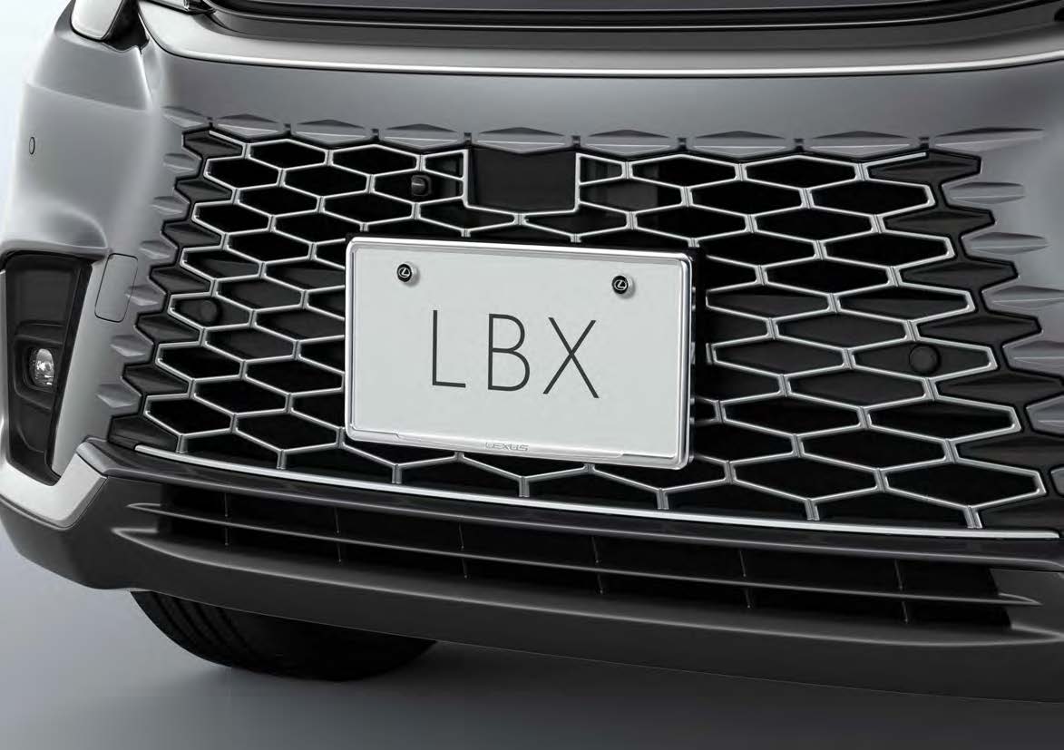 GENUINE LEXUS PLATD LICENSE PLATE & LOCK BOLT FOR LEXUS LBX